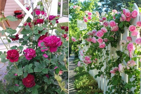 Свежие ссылки кракен