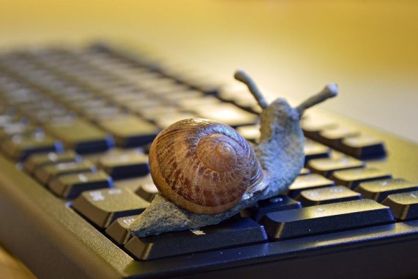 Kraken online