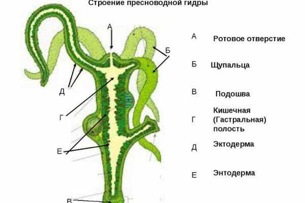 Кракен браузер